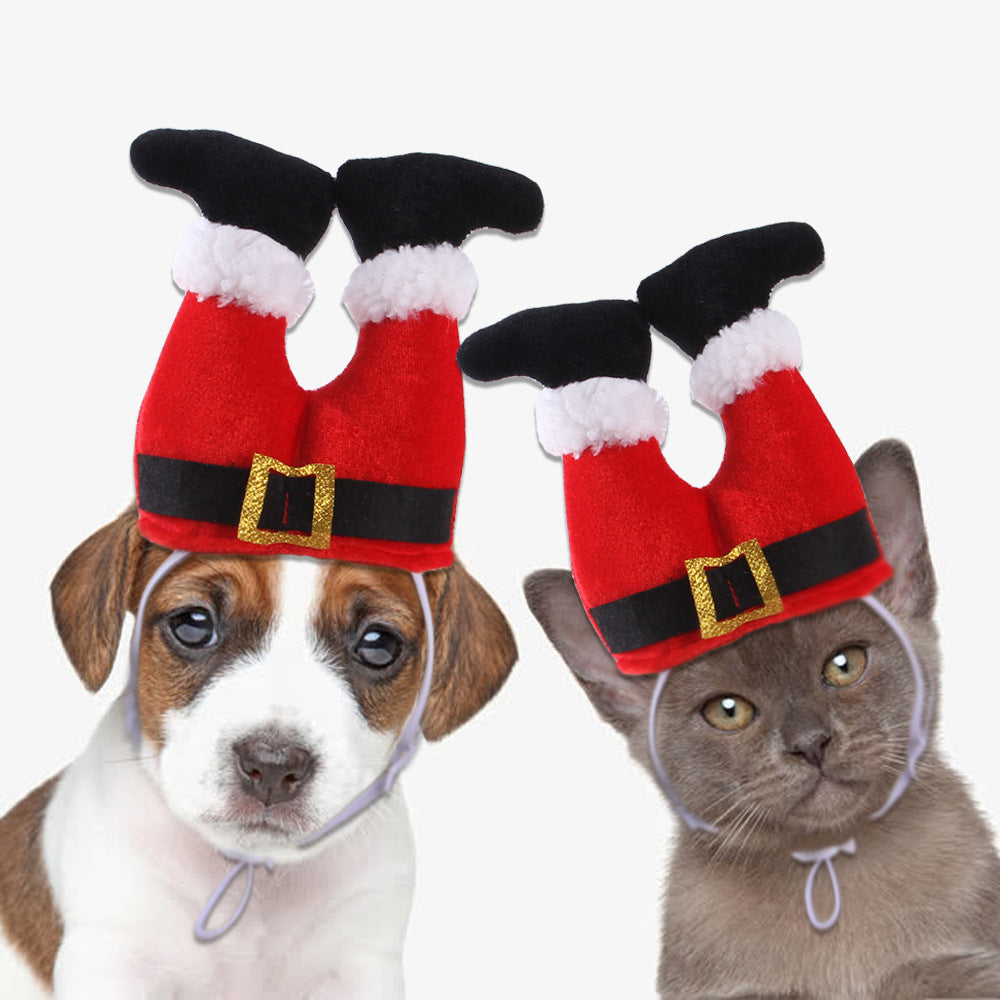 Mascota feliz con sombrero de Navidad en fotos familiares